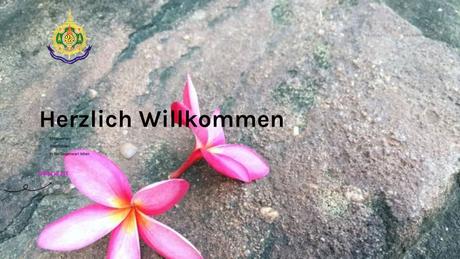 Baan Thai Phenjan Thaimassage