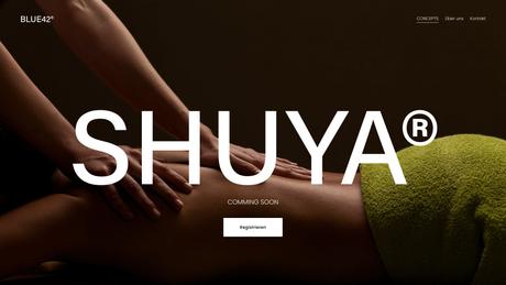 Massage Inh. Zhao Rumeng Traditionelle Chinesische Massage