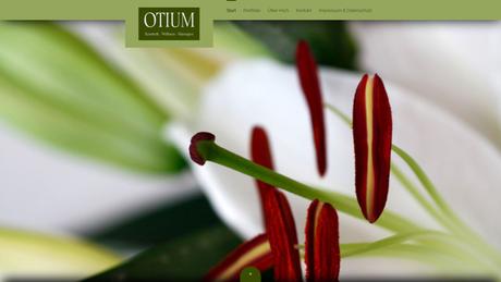 Otium Karola K&ouml;hler