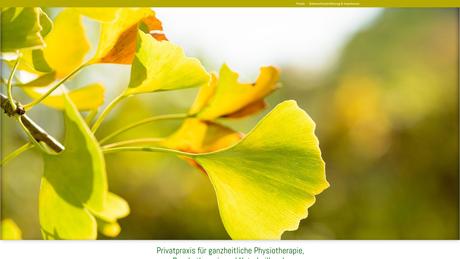 Privatpraxis f&uuml;r Physiotherapie und Psychotherapie