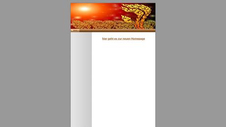 Sunshine Wellness Papada Schlichting